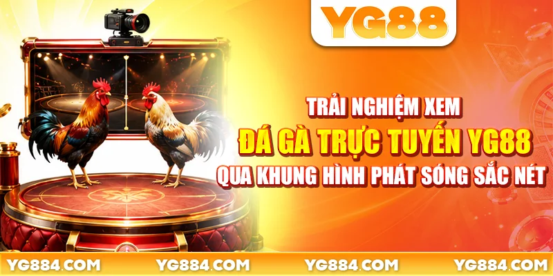 Trải nghiệm xem đá gà trực tuyến YG88 qua khung hình phát sóng sắc nét